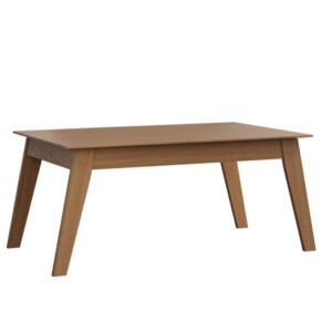 Astro Leg Table
